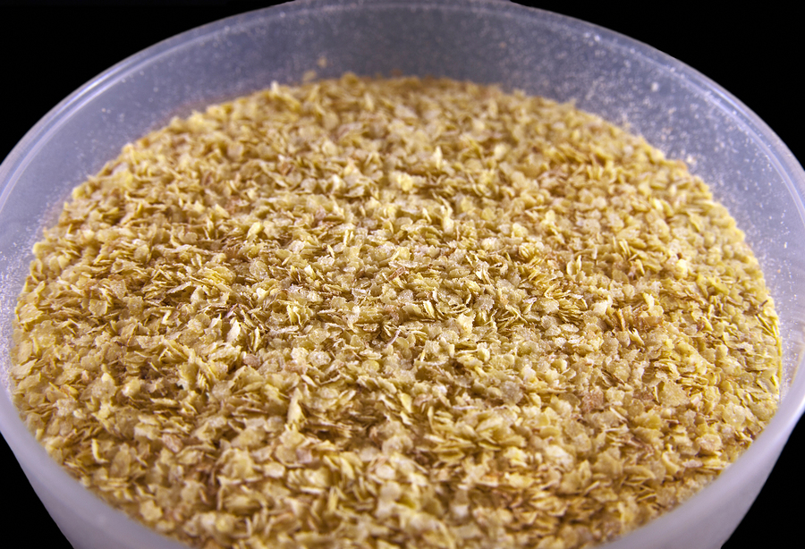 Wheat germ in a plastic bowl