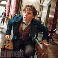 fantastic beasts eddie redmayne