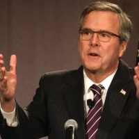 jeb bush