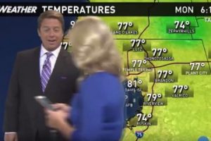 This news anchorwoman at WTSP in Tampa was so absorbed and addicted to her Pokemon Go that she walked right across a weather broadcast segment.