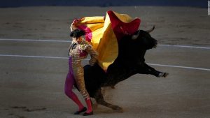 Bullfighting has begun in Spain as a matador in Madrid thrills thousands of Spaniards enjoying their national sport.