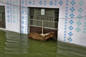 The monsoon season continues to ravage India.