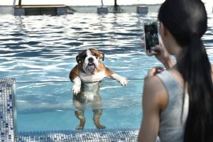 Speaking of dogs, this proud mom snaps a photo of her beloved pup at a swimming pool complex in Chengdu, China that was built only for dogs.