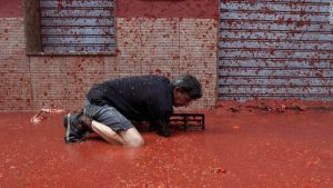 Here's one for ya - Every year, in the small town of Bunol, Spain, there is a tomato festival sort of. This year, 160 tons of tomatoes were used by over 20,000 people who stage a one hour ling tomato fight.